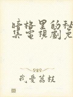 暗格里的秘密全集电视剧免费观看封面