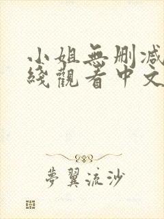 小姐无删减版在线观看中文封面