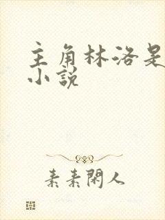 主角林洛是什么小说封面