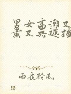 男女高潮又爽又黄又无遮挡