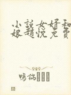 小说女婿和丈母娘赵悦免费阅读