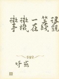 微微一笑很倾城手机在线观看免费封面