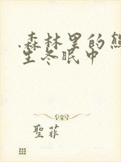 .森林里的熊先生冬眠中