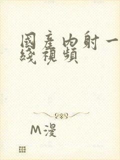 国产内射一级在线视频