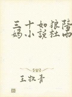 三十如狼陪读妈妈小说杜雨馨封面