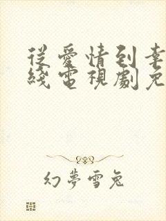 从爱情到幸福在线电视剧免费观看