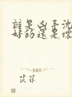 谁是凶手沈雨是好的还是坏