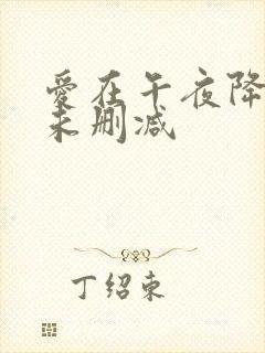 爱在午夜降临前未删减