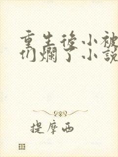 重生后小被男神们烂了小说笔趣阁封面