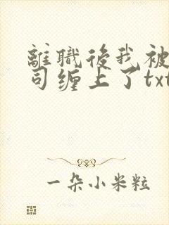 离职后我被前上司缠上了txt下载