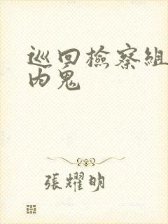 巡回检察组谁是内鬼