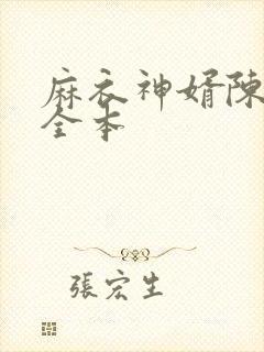 麻衣神婿陈黄皮全本封面