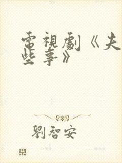 电视剧《夫妻那些事》