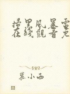 扫黑风暴电视剧在线观看免费25集