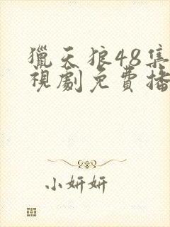 猎天狼48集电视剧免费播放