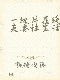 一级片在线观看夫妻性生活黄色录像