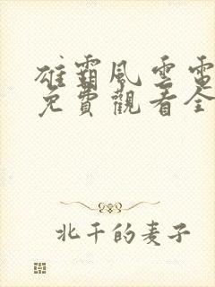 雄霸风云电视剧免费观看全集高清封面