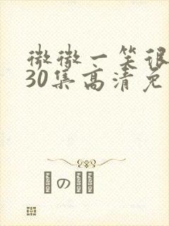 微微一笑很倾城30集高清免费观看