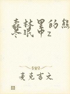 森林里的熊先生冬眠中z