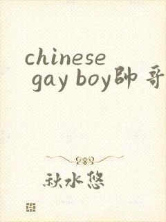chinese gay boy帅哥