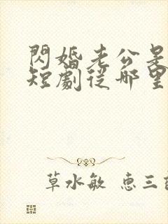 闪婚老公是总裁短剧从哪里看全片