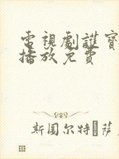 电视剧护宝寻踪播放免费