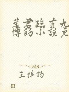 叶君临有九个师傅的小说免费阅读无弹窗封面