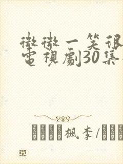 微微一笑很倾城电视剧30集全封面