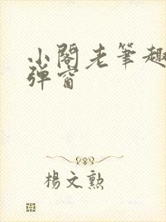 小阁老笔趣阁无弹窗