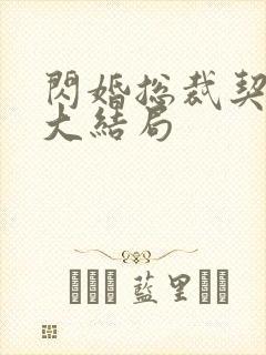 闪婚总裁契约妻大结局