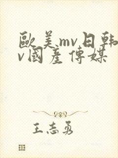 欧美mv日韩mv国产传媒封面