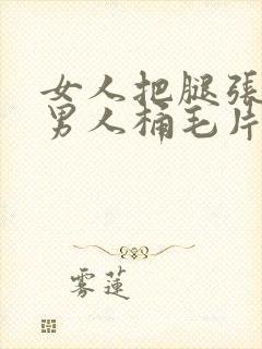 女人把腿张开让男人桶毛片