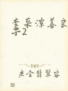 李采潭善良的嫂子2封面