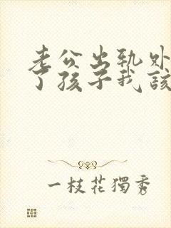 老公出轨外面有了孩子我该怎么处理