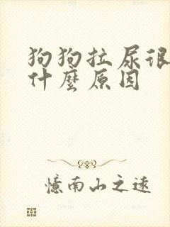 狗狗拉尿很黄是什么原因