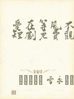 爱在等风不等你短剧免费观看