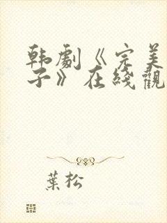 韩剧《完美的妻子》在线观看封面