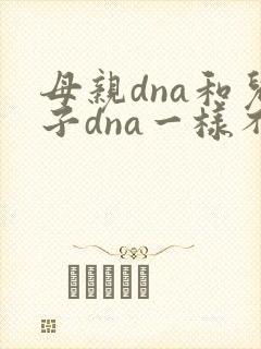 母亲dna和儿子dna一样不