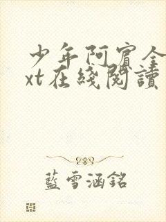 少年阿宾全文txt在线阅读