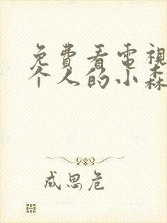 免费看电视剧两个人的小森林全集