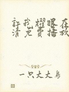 许我耀眼在线高清免费播放