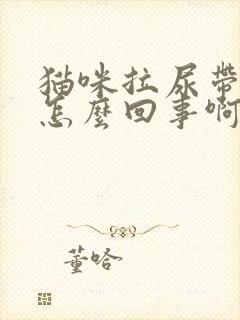 猫咪拉尿带血是怎么回事啊