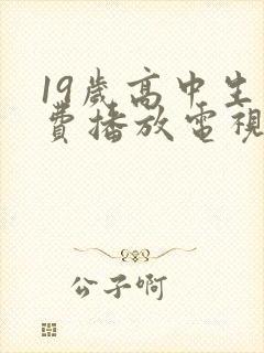 19岁高中生免费播放电视剧全集