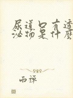 尿道口有透明分泌物是什么原因引起的封面