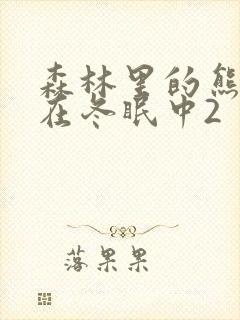 森林里的熊先生在冬眠中2