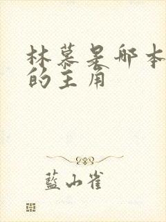 林慕是哪本小说的主角