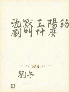 沈默王阳的电视剧叫什么