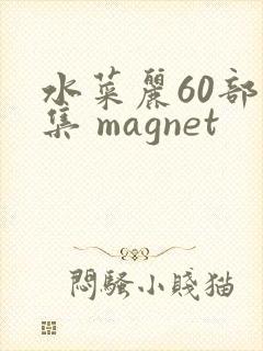 水菜丽60部合集 magnet封面