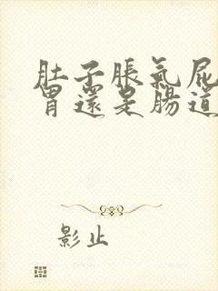 肚子胀气屁多是胃还是肠道问题