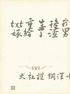 txt重生后我嫁给了渣男的死对头